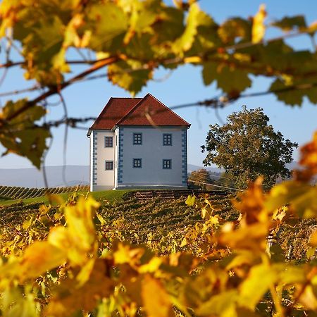 Slovenske Konjiceワイン グローワーズ マンション ズラティ グリツアパートメント エクステリア 写真