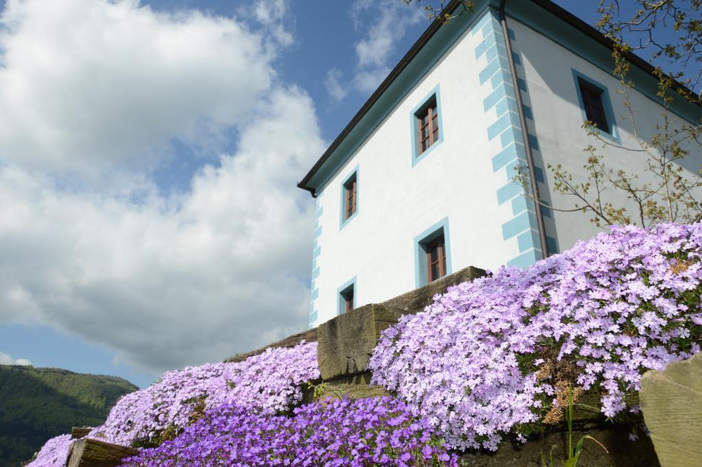 Slovenske Konjiceワイン グローワーズ マンション ズラティ グリツアパートメント エクステリア 写真